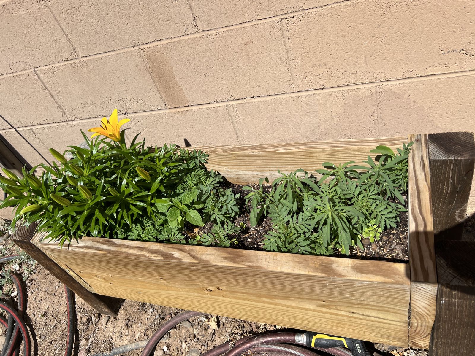 Facility and Project Helpers